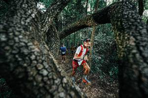 BIB: 
                            <button type="button" onclick="openModal(25392011)" class="btn btn-primary btn-sm float-right btn-popup" data-toggle="modal" data-target=".modal-high-quality">
                        <i class="fas fa-shopping-cart"></i> Add to Cart
                    </button>
                                            <button type="button" onclick="isThisMe(25392011, true)" class="btn btn-success btn-sm float-right btn-popup btn-isme hidden" data-toggle="tooltip" data-placement="bottom" title="นี่คือรูปของคุณใช่ไหม คลิกที่นี่เพื่อเอาเข้าอัลบั้ม">
                        <i class="fas fa-plus"></i> Add to album
                    </button>
                    <button type="button" onclick="isThisMe(25392011, false)" class="btn btn-warning btn-sm float-right btn-popup btn-isnotme hidden">
                        <i class="fas fa-ban"></i> Remove from album
                    </button>